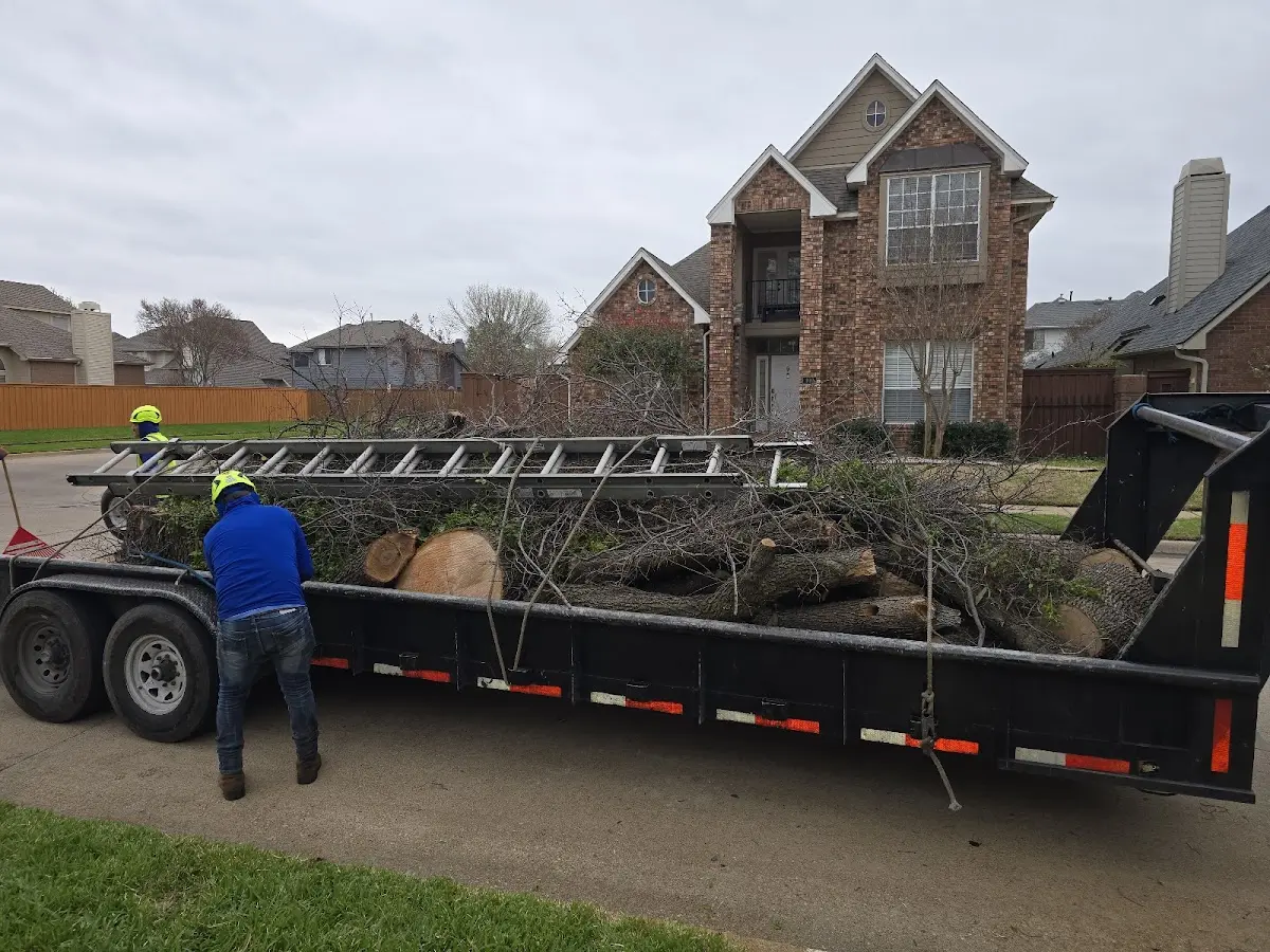 Expert Tree Fertilization with proper safety equipment in Tolono